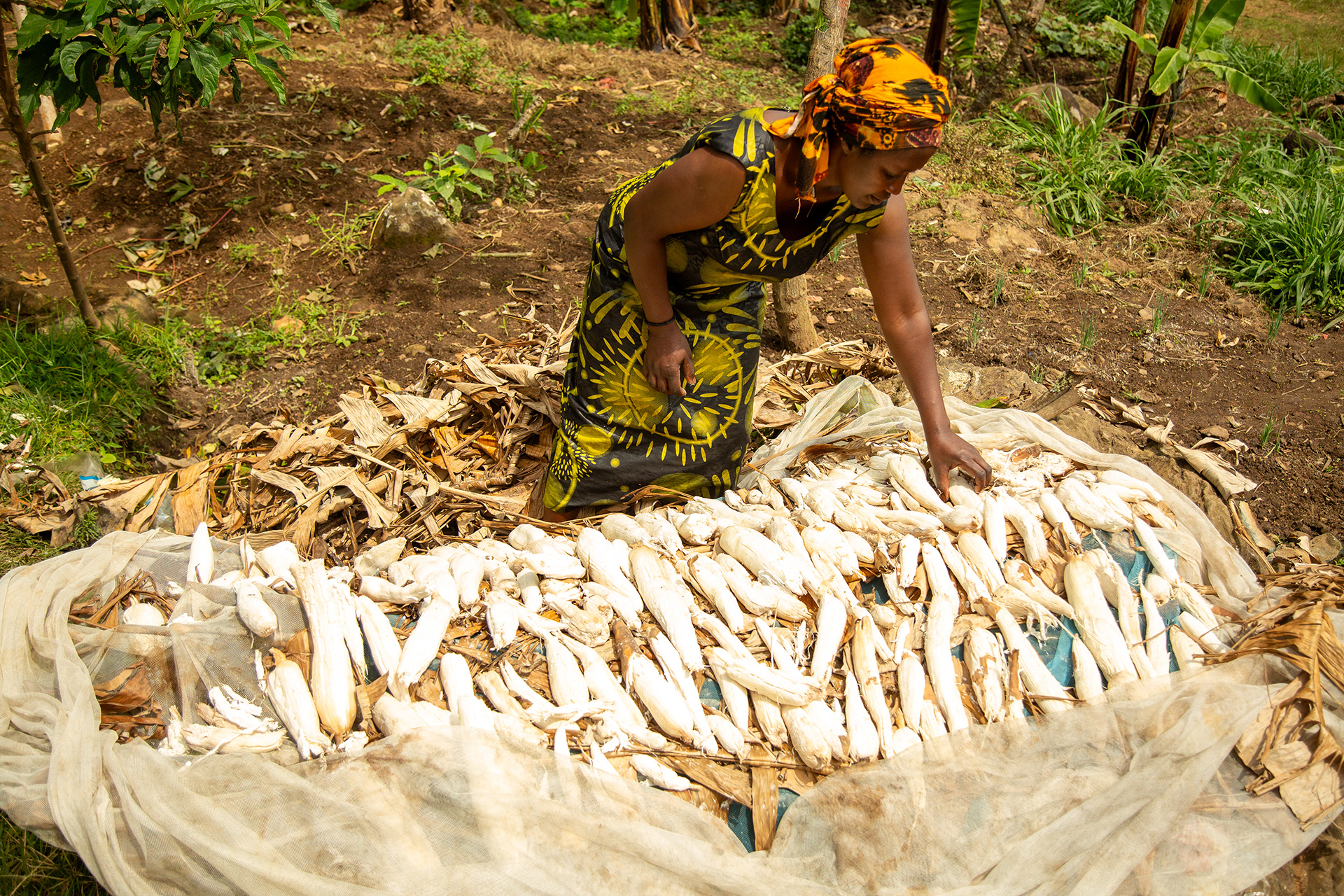 Breaking barriers, building futures: How women in Rwanda are redefining ...