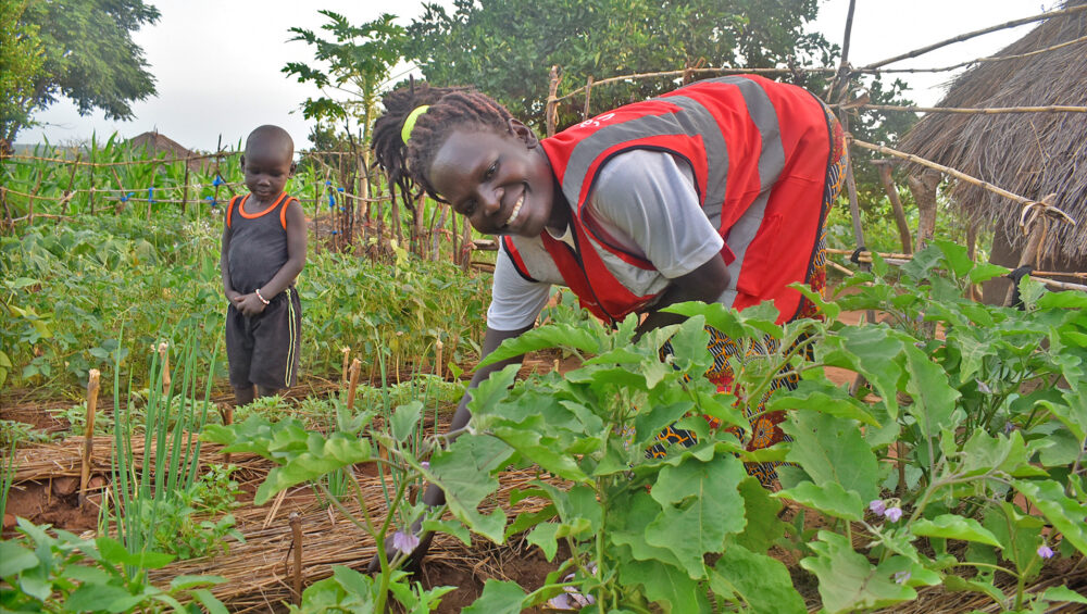 Anna Monday tends to her eggplants, applying vegetable gardening knowledge she gained through ForAfrika’s training.
