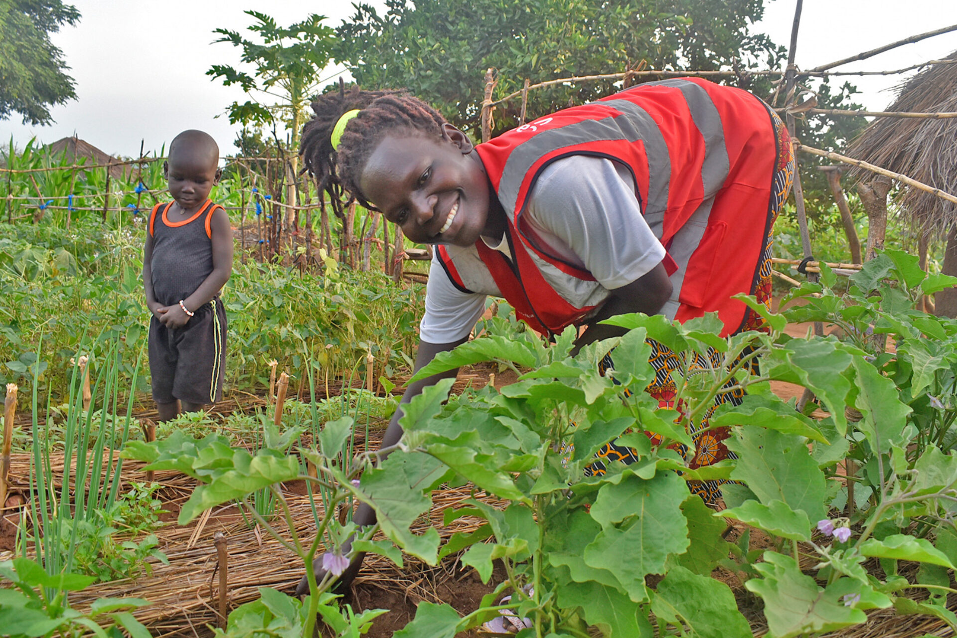 Anna Monday tends to her eggplants, applying vegetable gardening knowledge she gained through ForAfrika’s training.