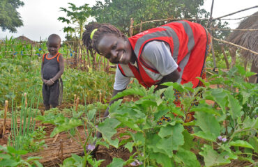 Anna Monday tends to her eggplants, applying vegetable gardening knowledge she gained through ForAfrika’s training.