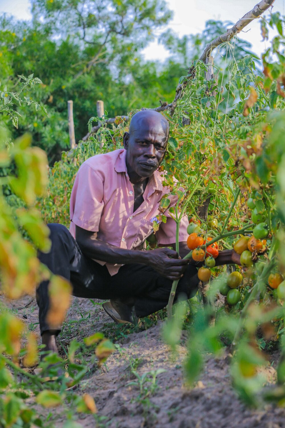 Uganda Horticulture