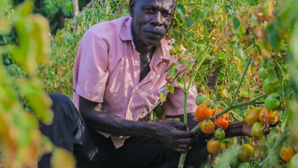 Uganda Horticulture